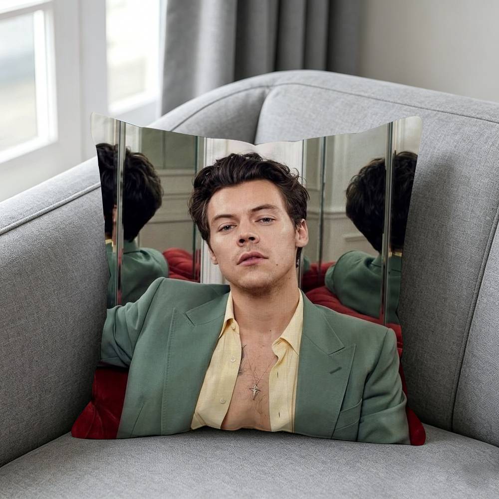 Michele B-Bravi Freddo-o Pillo - Home Textiles Definition review and price
