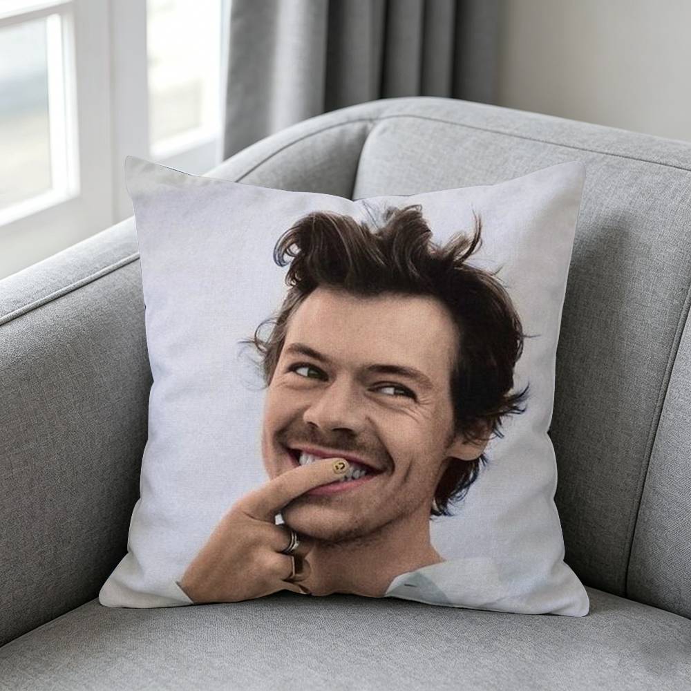 Michele B-Bravi Freddo-o Pillo - Home Textiles Definition review and price